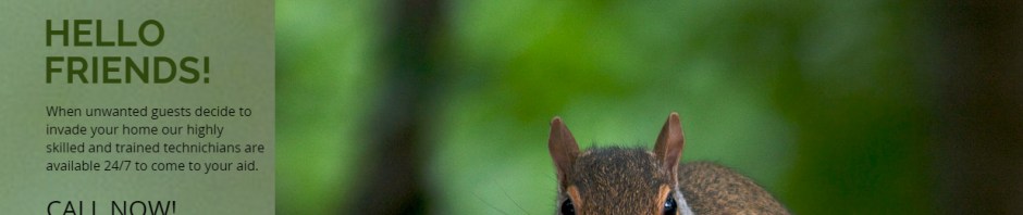 animal pest control nj